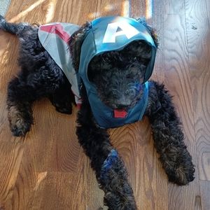 Marvel avengers costume